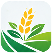 app-icon